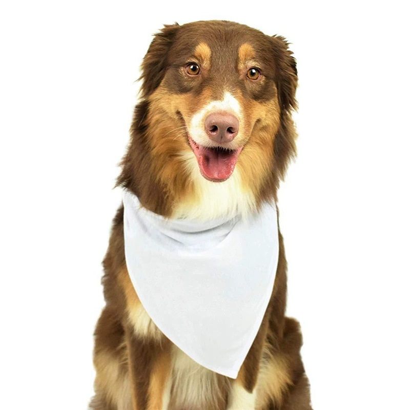 30 stuks witte polyester blanc - Bandana Blank White recensie en prijs