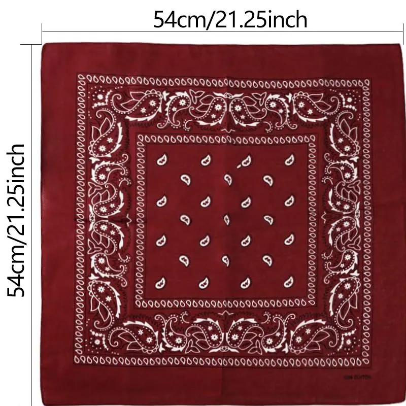 1pcs Hip Hop Cowboy Paisley Sj - Bandana Blank White recensie en prijs